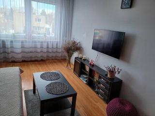 Apartament Żuławy, na wyłączność - Nowy Dwór Gdański - 8