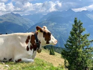 Kitzbüheler Alpenlodge Bergblick Suite - Mittersill - 8