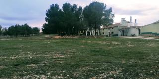 CASAS RURALES LA LAGUNA, ALPERA - 4