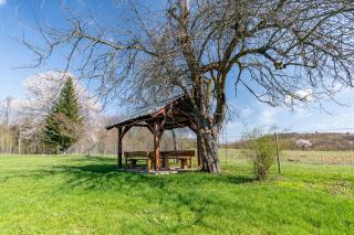 Apartments for families with children Grabovac, Plitvice - 20709 - Rakovica - 7