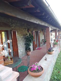 MAGNOLIA - Cortona - 8