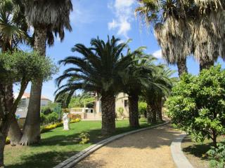 les palmiers - Vias - 9