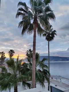 Hotel Vila Hedonija - Herceg-Novi - 2