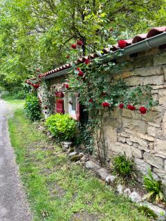 Chambre en bordure d'Aveyron - Saint-Antonin - 9
