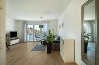 Fink - Vogelhaus - Friedrichshafen - 1