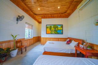 Phong Nha Dawn Home - Phong Nha - 5