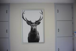 Atlantic Way Cottage - Galway - 5