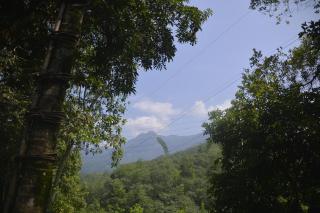 Leon Hilltop Resort - Kitulgala - 2