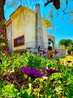 Eirini's ART HOUSE - Yerakiní - 1