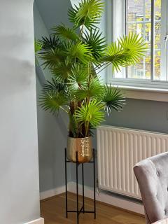 One bedroom flat in Chelsea - Londra - 4