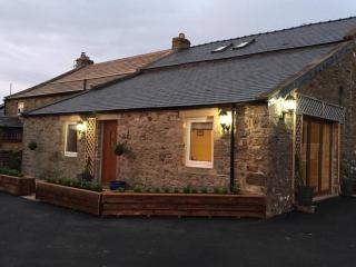 The Byre @ Cow Close - Stay, Rest and Play in the Dales. - Leyburn - 4