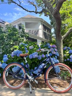 Greyfinch Chatham Inn - 2