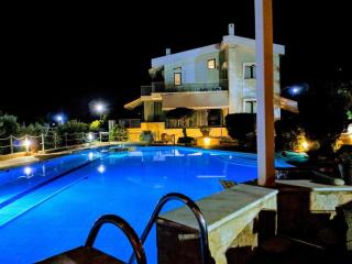 Summer Villa Lagonissi - Lagonissi - 3