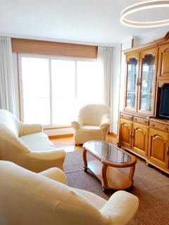 Viveiro Centro con Vistas - 3