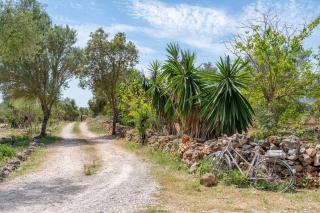 Finca Ses Rotetes - 3