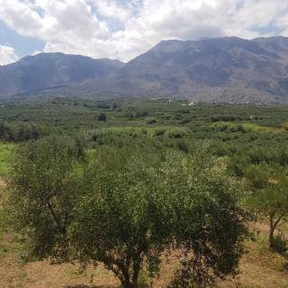 Katy's Luxury Aparments - Kavros - 1