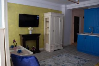 Blue Joy Bukovina Aparthotel - Suceava - 5