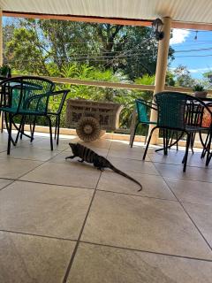 Hospedaje Colibri - 6