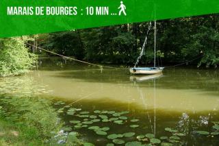 Les Quatre Piliers - 1 min Palais Jacques Cœur - Bourges - 3
