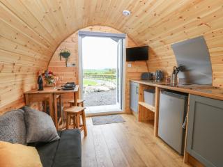 Parys Pod - Bodewryd - 8