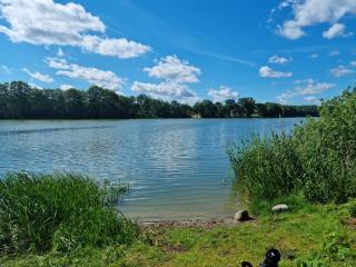 Domek nad jeziorem Bystrzyna - Świdwin - 9