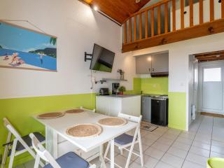 Joli Appartement proche de l'Océan à Biscarrosse - 4 pers - Parking - FR-1-319-502 - Biscarrosse - 7