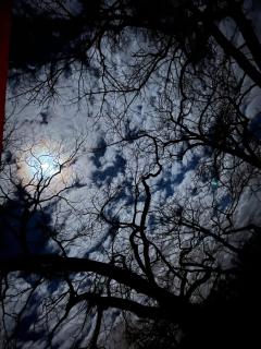 Spreewaldhotel Leipe - 1