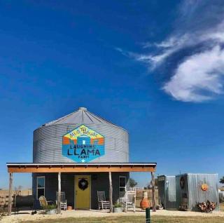 Silo House At Laughing Llama Farm - Troy - 8