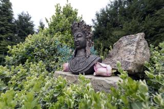 Kétpáva Vendégház - 8