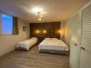 Elyada Otel ve Bağ Evi 8 Yaş Üstü - Bozcaada - 2