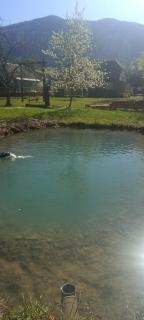 Готель Людмила - 5