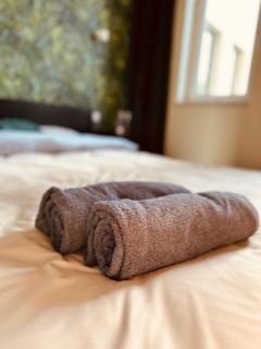 Green Stone Apartment II - Bydgoszcz - 8