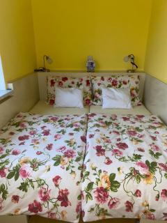 Rodinný apartmán 3+1 (65 m² ) v plném vybavení se nachází v krásné vesničce Horní Město na úpatí hor v oblasti Jeseníků - Horní Město - 4