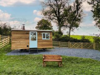 Berllan Y Bugail Shepherds Hut - Llanwrda - 7