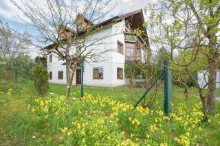Iris-Ferien mit Hund - Walsdorf - 9