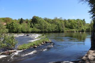 Manot Vacances - Gites en bord de Vienne - Manot - 7