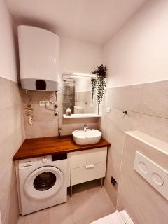 Apartment Inana - Rijeka - 4