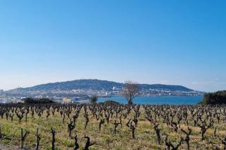 Maison de campagne vue Étang de Thau ! - Frontignan - 0
