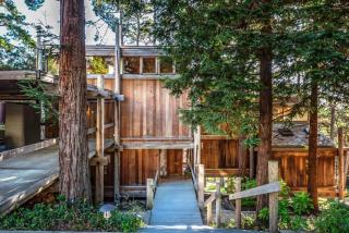 3771 Serenity in the Woods home - Pebble Beach - 9