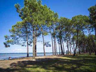 Maison familiale, 15 pers., jardin privé, proche centre et lac, à 25 min de l'océan - FR-1-319-472 - Parentis-en-Born - 9