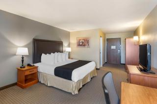 Best Western Plus The Charles Hotel - St. Charles - 8