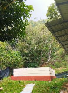 Awanaz Farmstay With Pool and Farm Animal Jitra Kedah - Jitra - 4