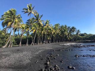 Condo On the Ocean, Lagoon and Garden - Hale Kona Kai 411 by Casago Kona - Kailua-Kona - 5