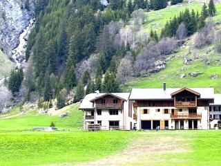 Alpine Chalet with Spa and pets - 4