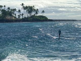 True and Absolute Oceanfront Condo Breathtaking Views From The Lanai - Hale Kona Kai 402 by Casago Kona - Kailua-Kona - 4
