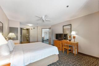 Metro Scottsdale Apartments 1 bd - 1