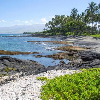 Beautifully Renovated Oceanfront Condo w/ breathe taking Views! - Hale Kona Kai 302 - Kailua-Kona - 7