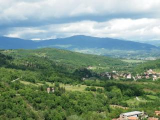 Farmhouse in Tuscany with Teggina Valley View - Castel Focognano - 5