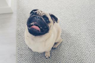 Shoreline Hideaway - 1