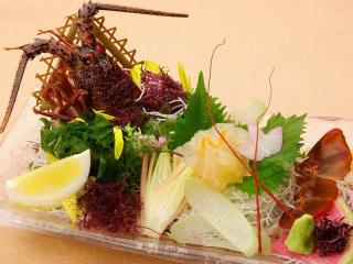 Shimoda Yamatokan - Shimoda - 1